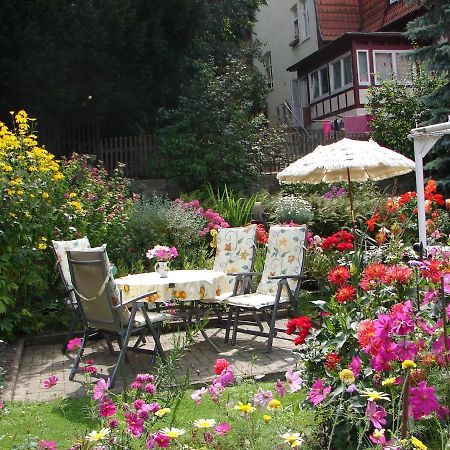 Abendroete Apartment Wernigerode Bagian luar foto