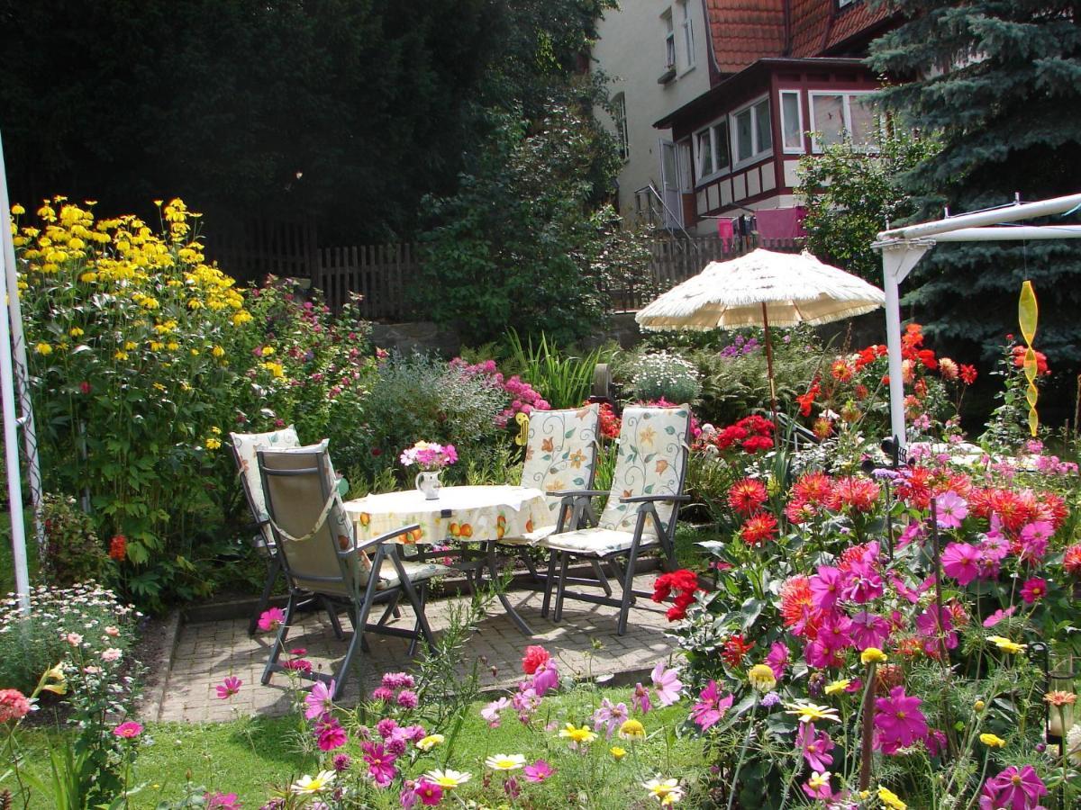 Abendroete Apartment Wernigerode Bagian luar foto